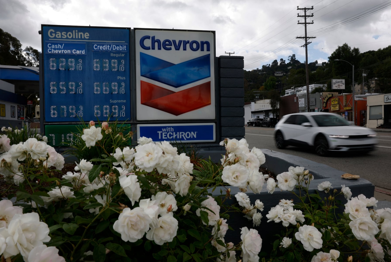 New Image