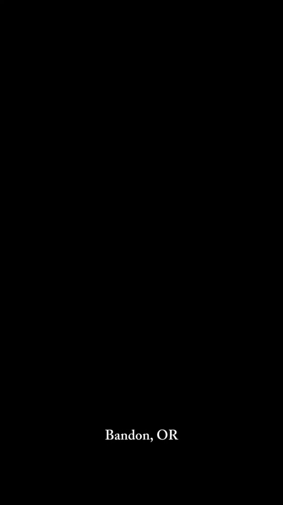 New Image