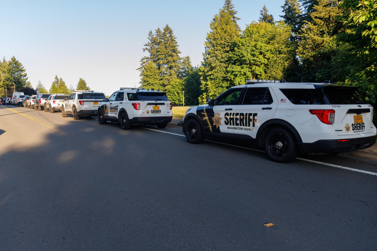 New Image