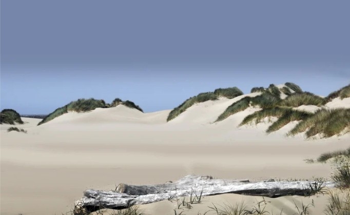 New Image
