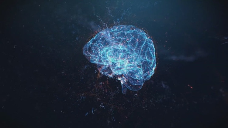 New Image