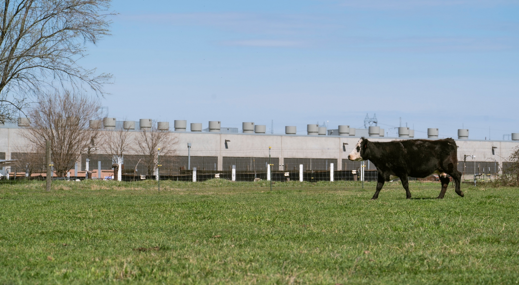 New Image