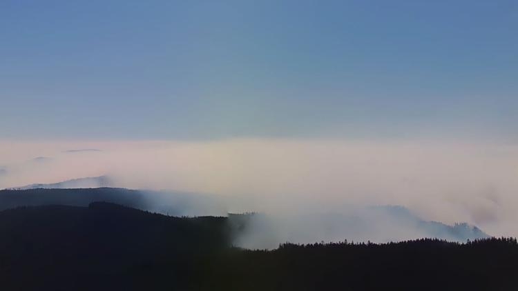 New Image
