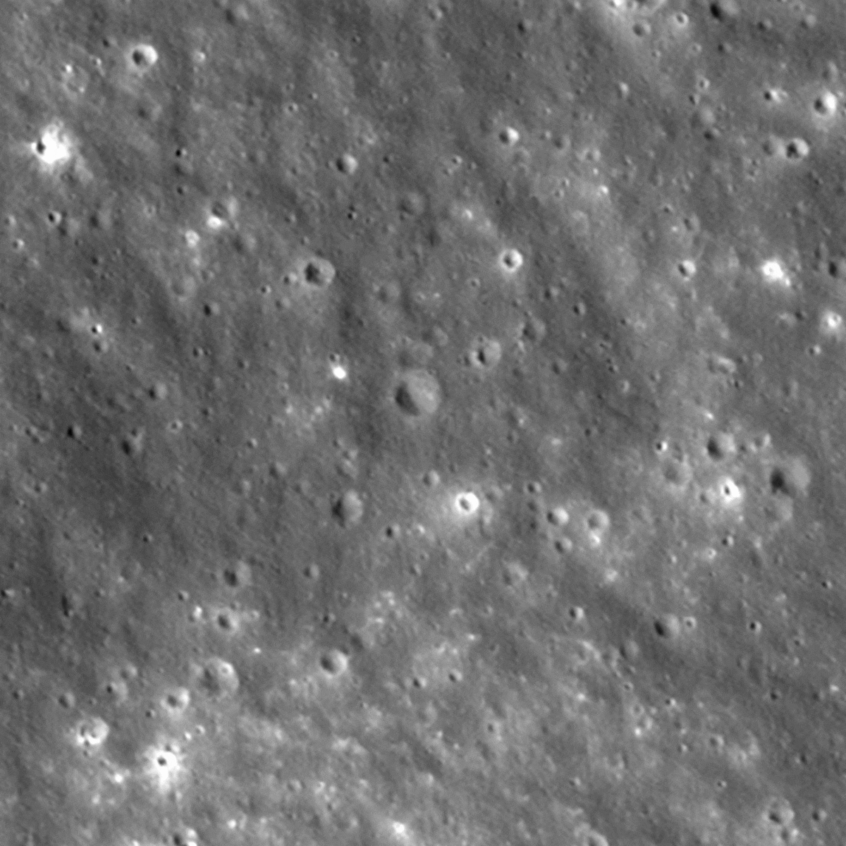 New Image