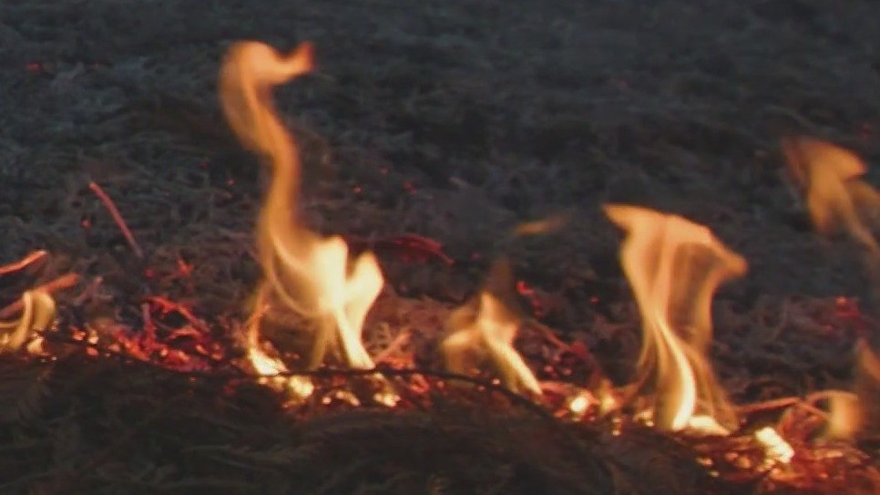 New Image
