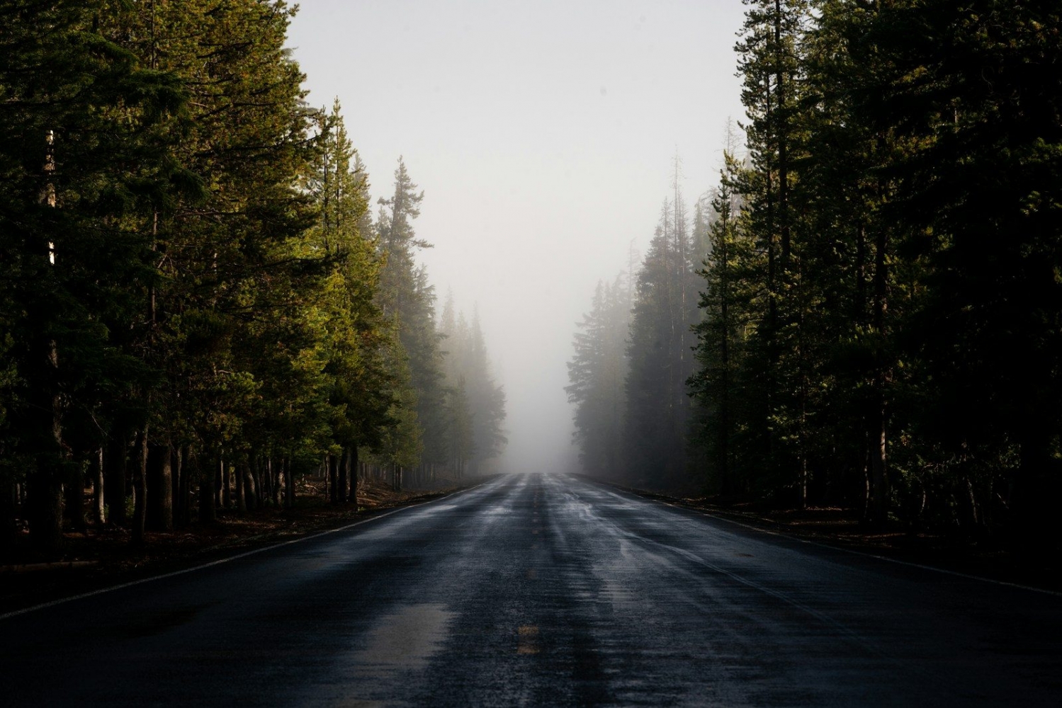 New Image