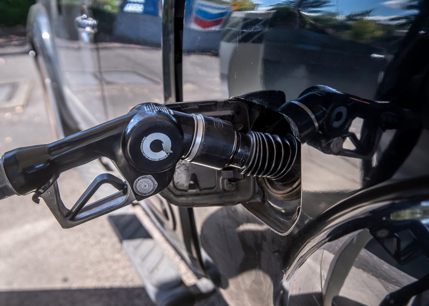 New Image