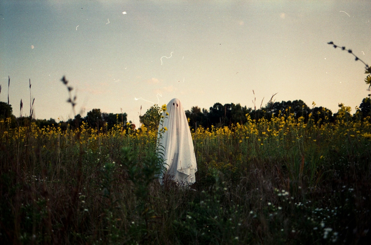 New Image