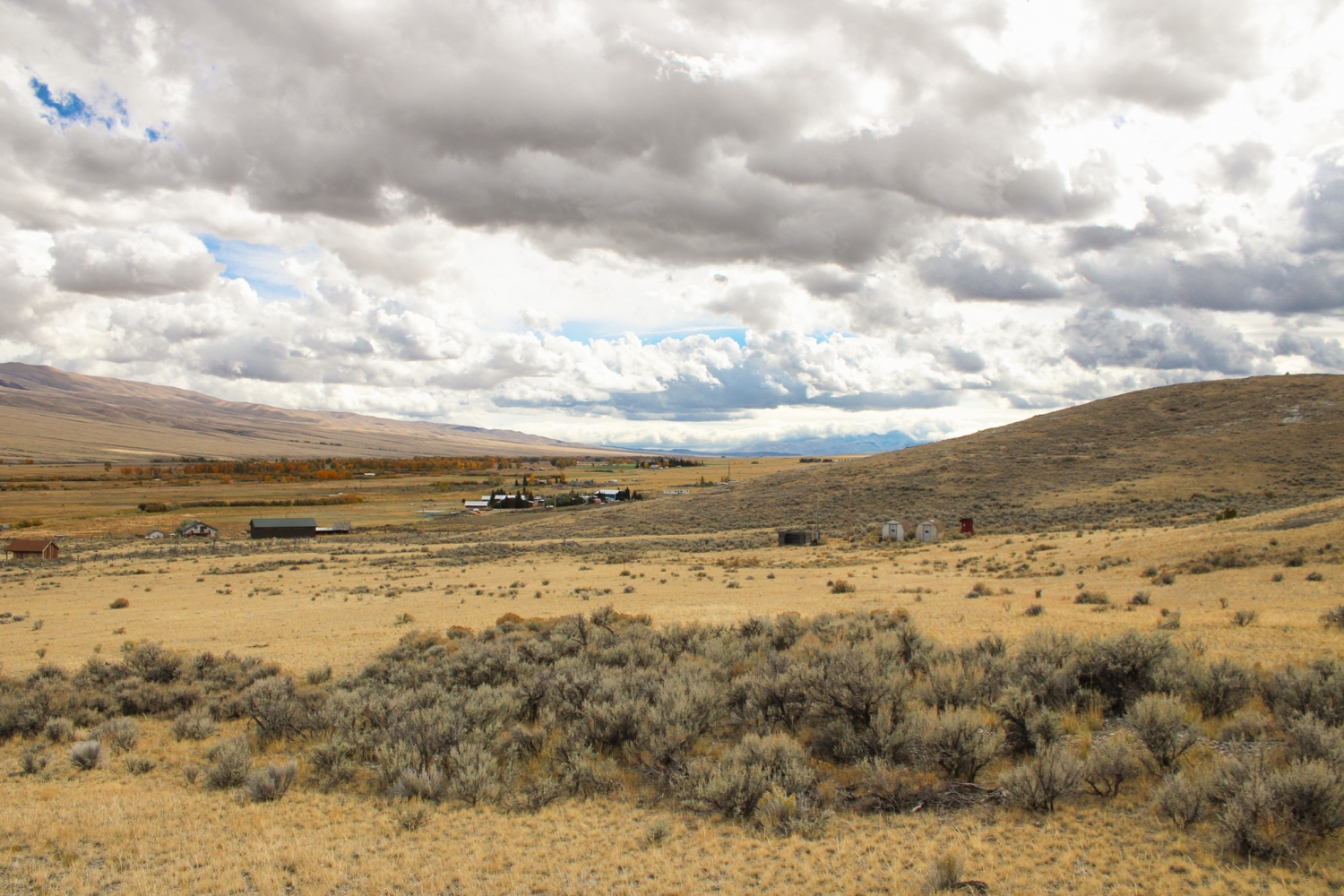 Best of the West Properties