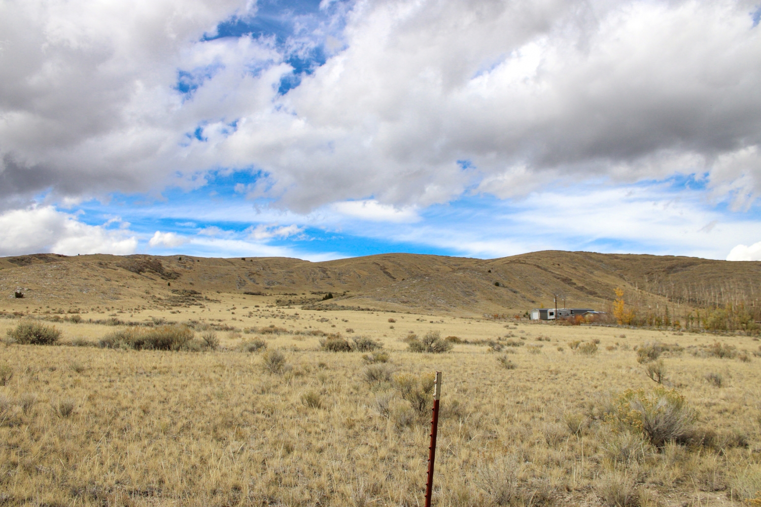 Best of the West Properties